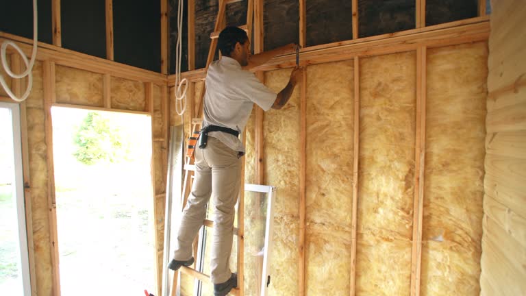 Best Garage Insulation  in Baxter Estates, NY