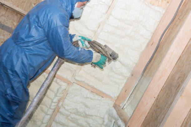 Best Crawl Space Insulation  in Baxter Estates, NY